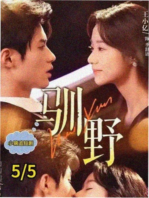 黄梅戏电影龙女马兰黄新德海报